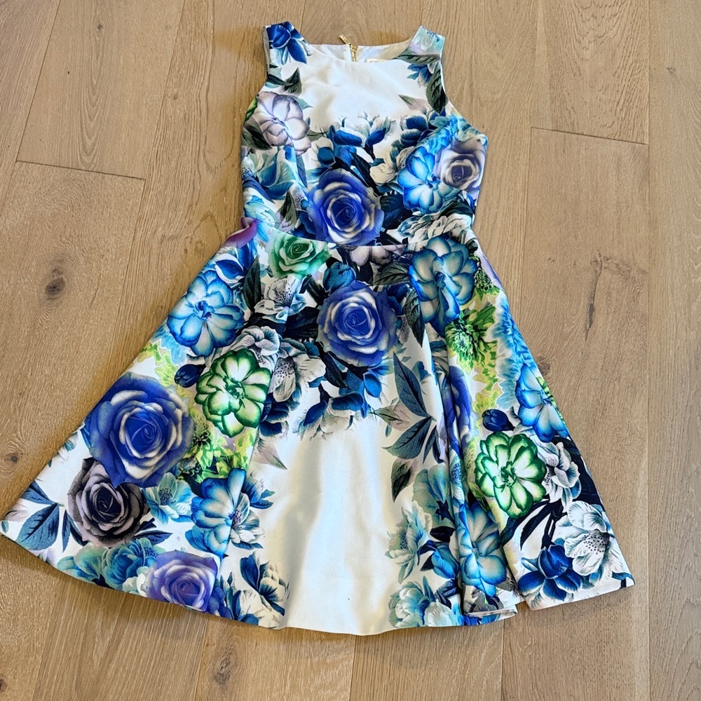 Eliza J Fun Floral Dress - Blue and Green Flowers size 2